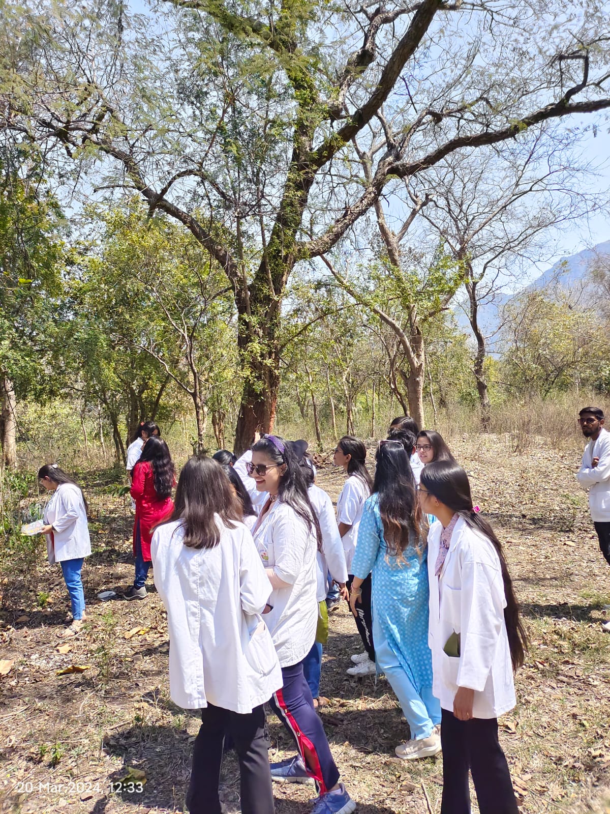 Academic Tour to Haridwar & Rishikesh: Herbal Gardens, Ayurvedic Colleges & Pharmaceutical Units - Image 1
